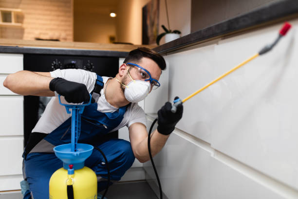 Best Best Pest Control Companies  in Ferndale, PA