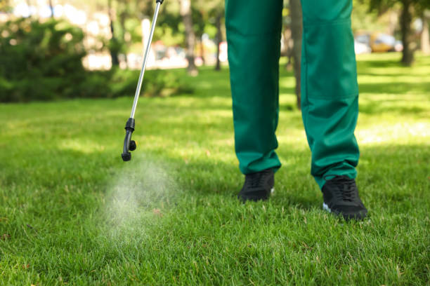 Best Pest Control Treatment  in Ferndale, PA