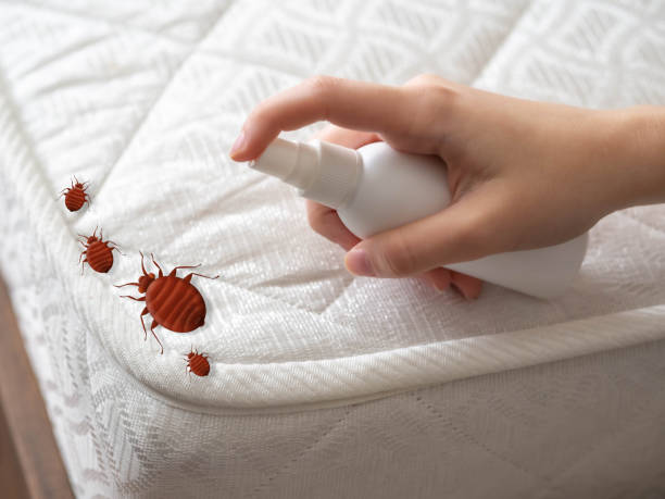 Best Pest Control Near Me  in Ferndale, PA